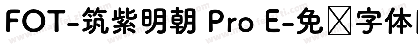 FOT-筑紫明朝 Pro E字体转换